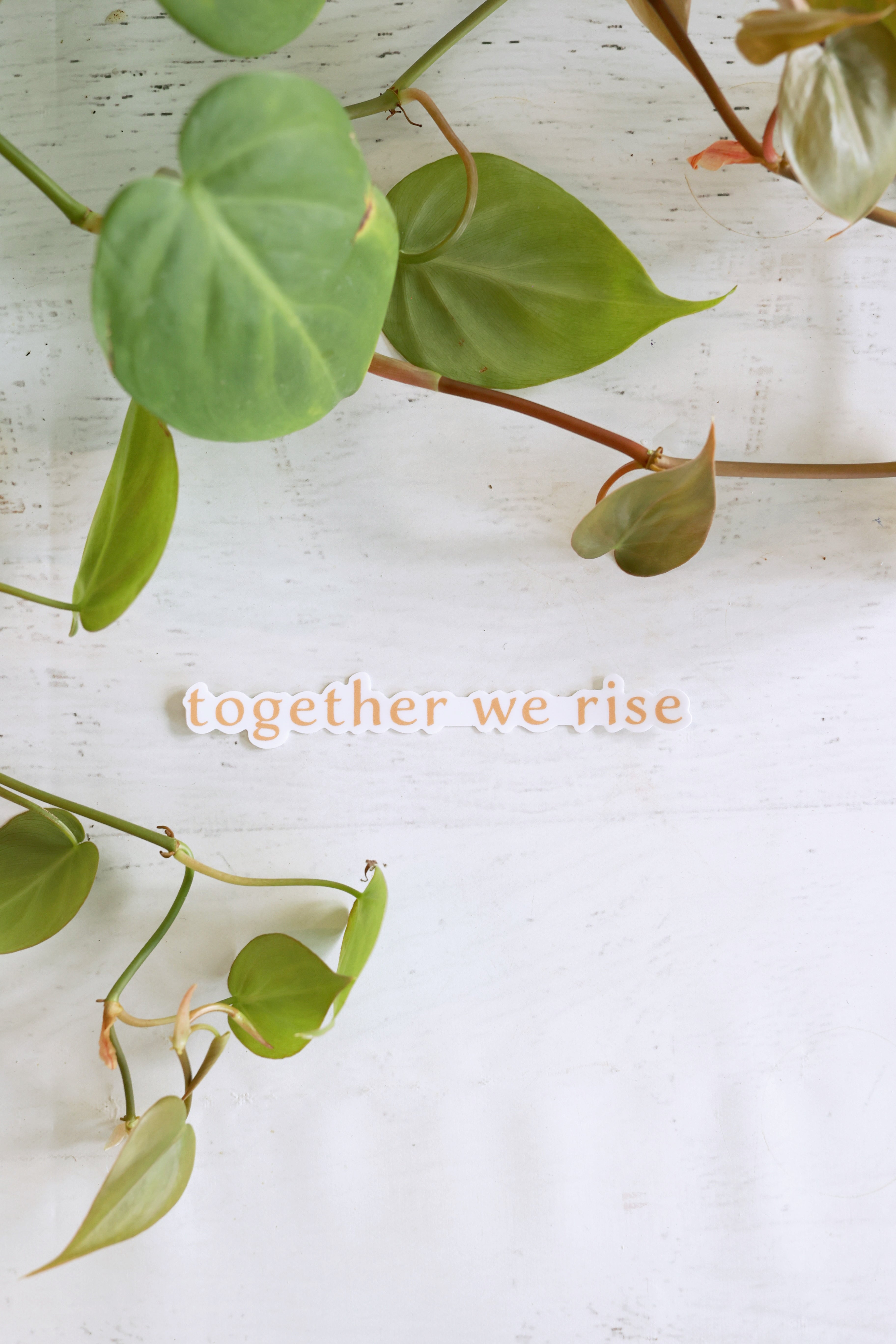 Together We Rise Sticker