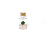 Mini Moss Ball | Rose Quartz Moss Niño