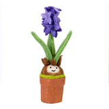 Hyacinth Potted Plant
