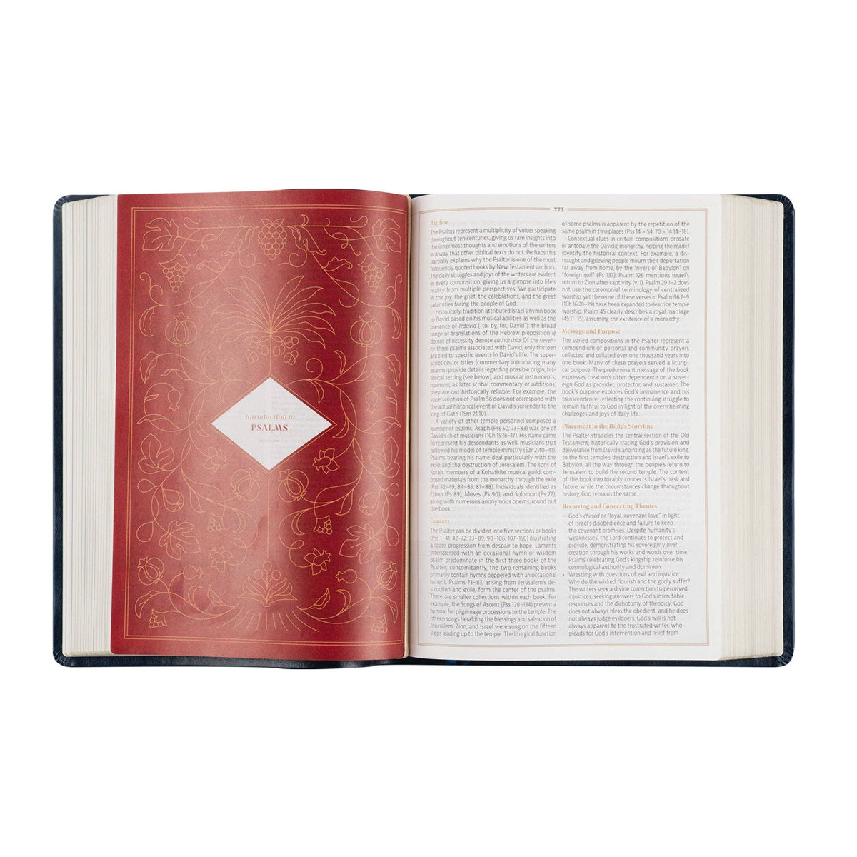 Versailles Theme: CSB Women's Study Bible