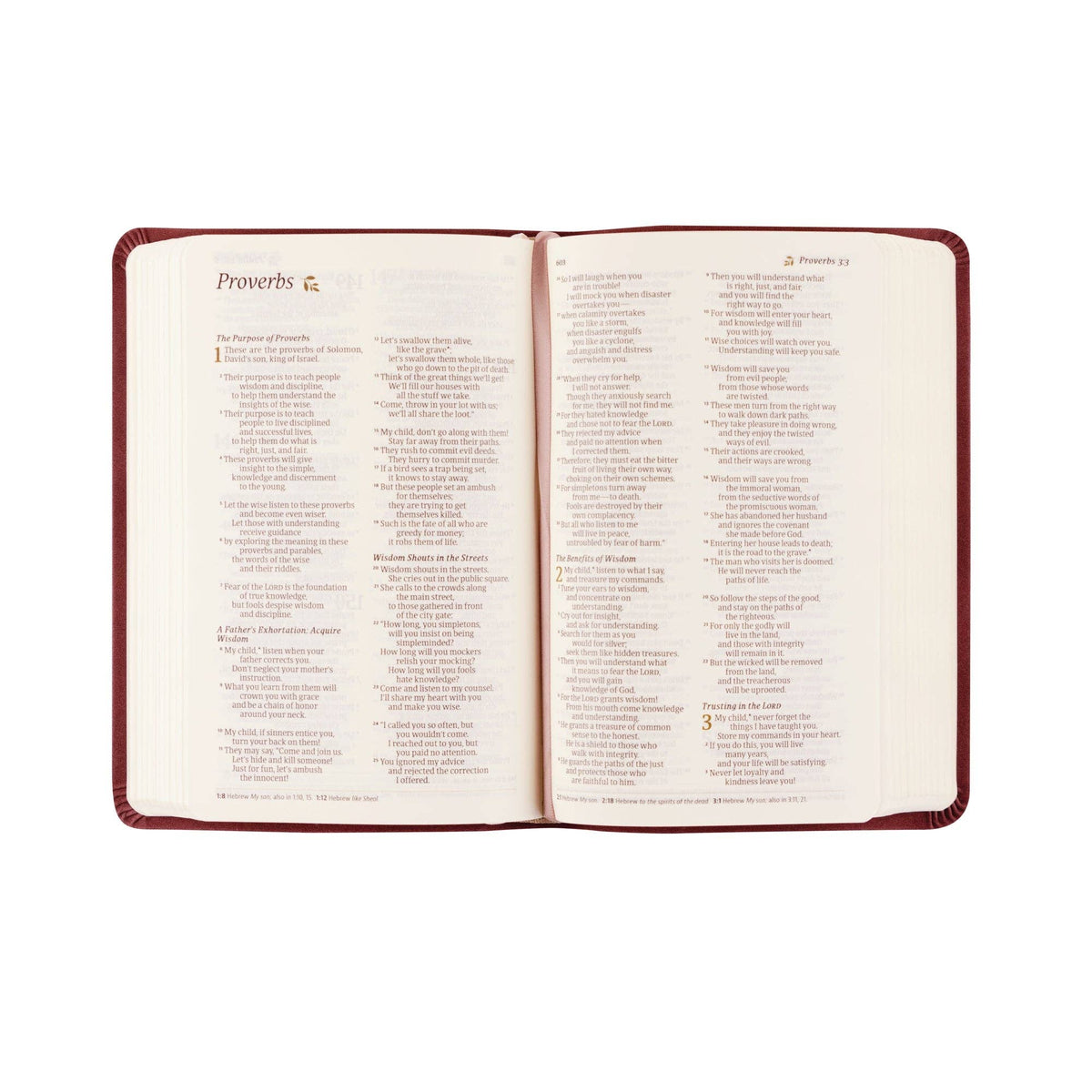 NLT Compact Bible: Helena Theme