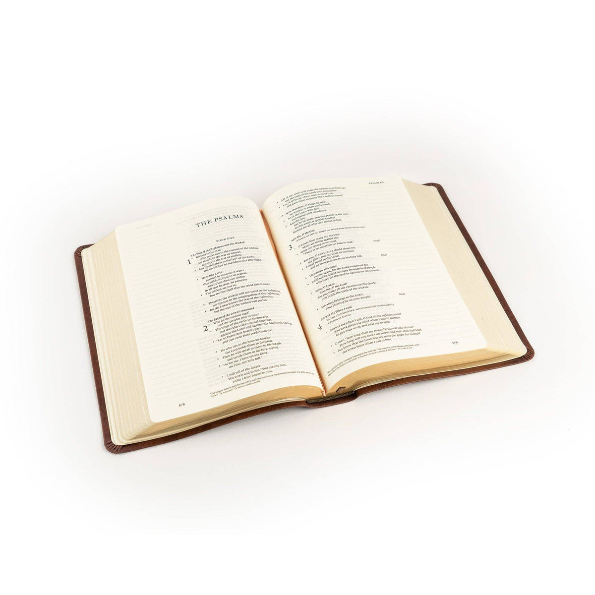 Palma Theme: ESV Journaling Bible