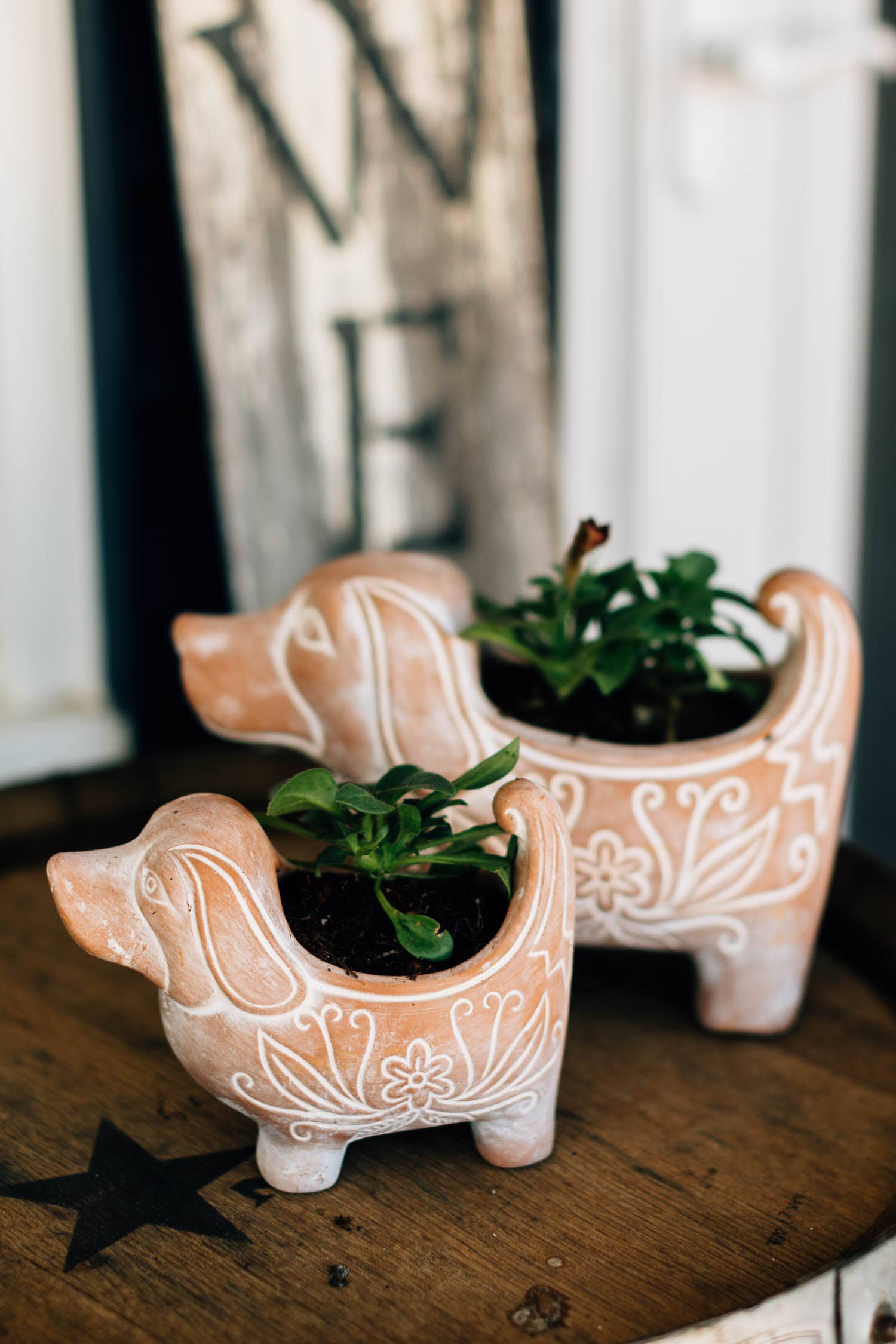 Terracotta Dog Planter 4.75"