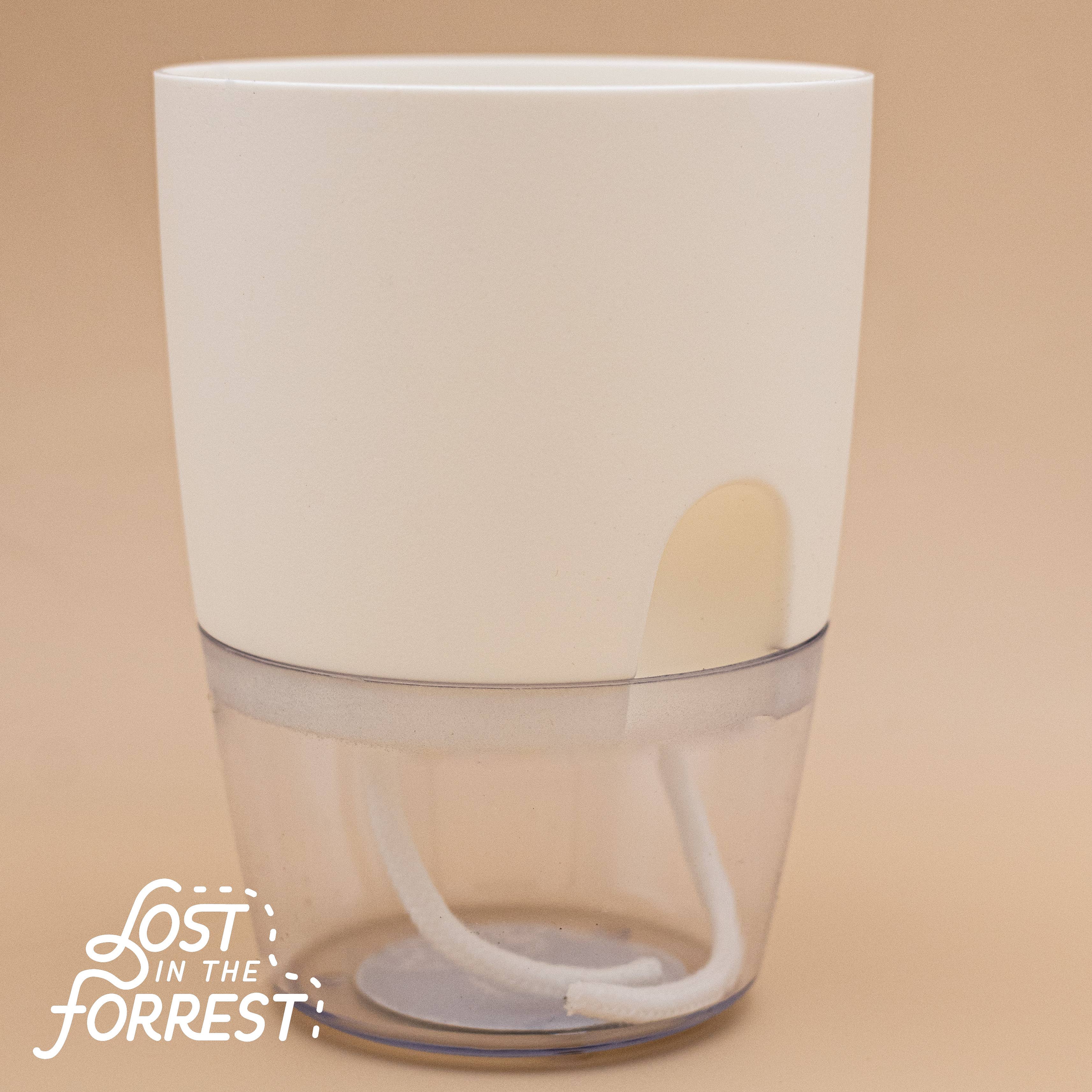 4" Padua Self-Watering Planter