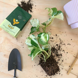 Enrich Organic Plant Food and Soil Amendment 14 oz