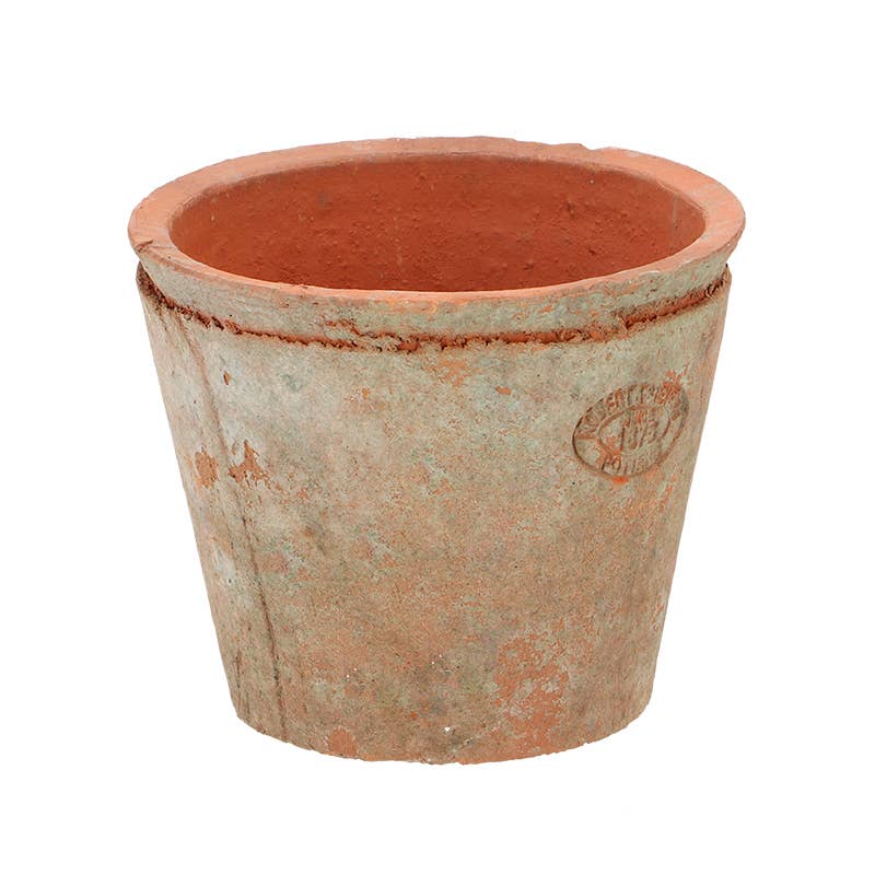 Aged Terracotta Flower Pot