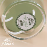 6" Padua Self-Watering Planter