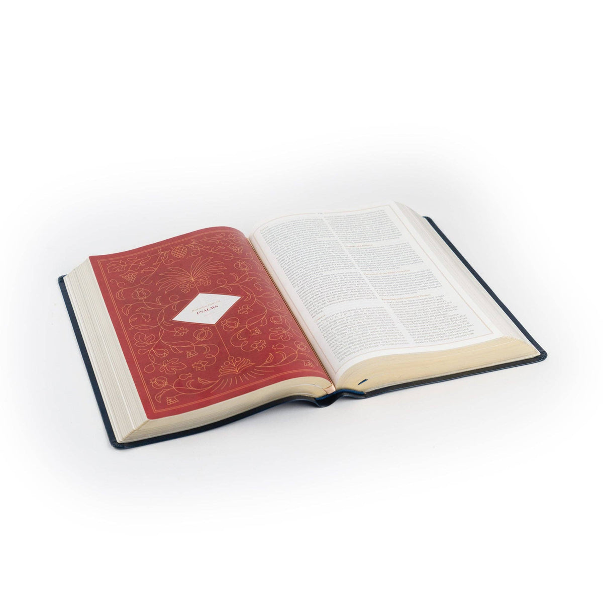 Versailles Theme: CSB Women's Study Bible
