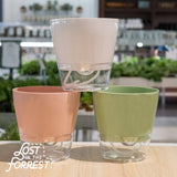 6" Padua Self-Watering Planter