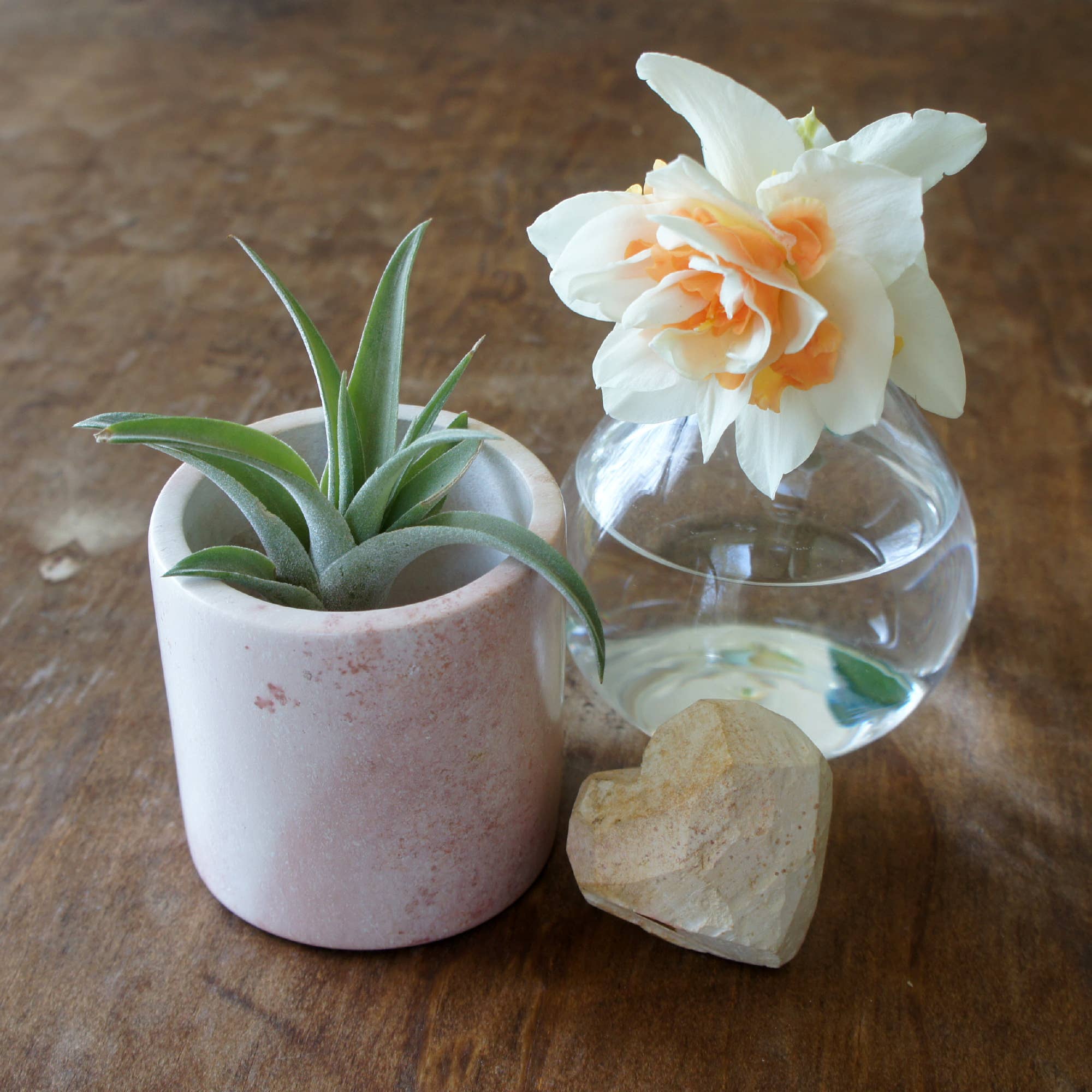 Natural Cylinder Planter - Large