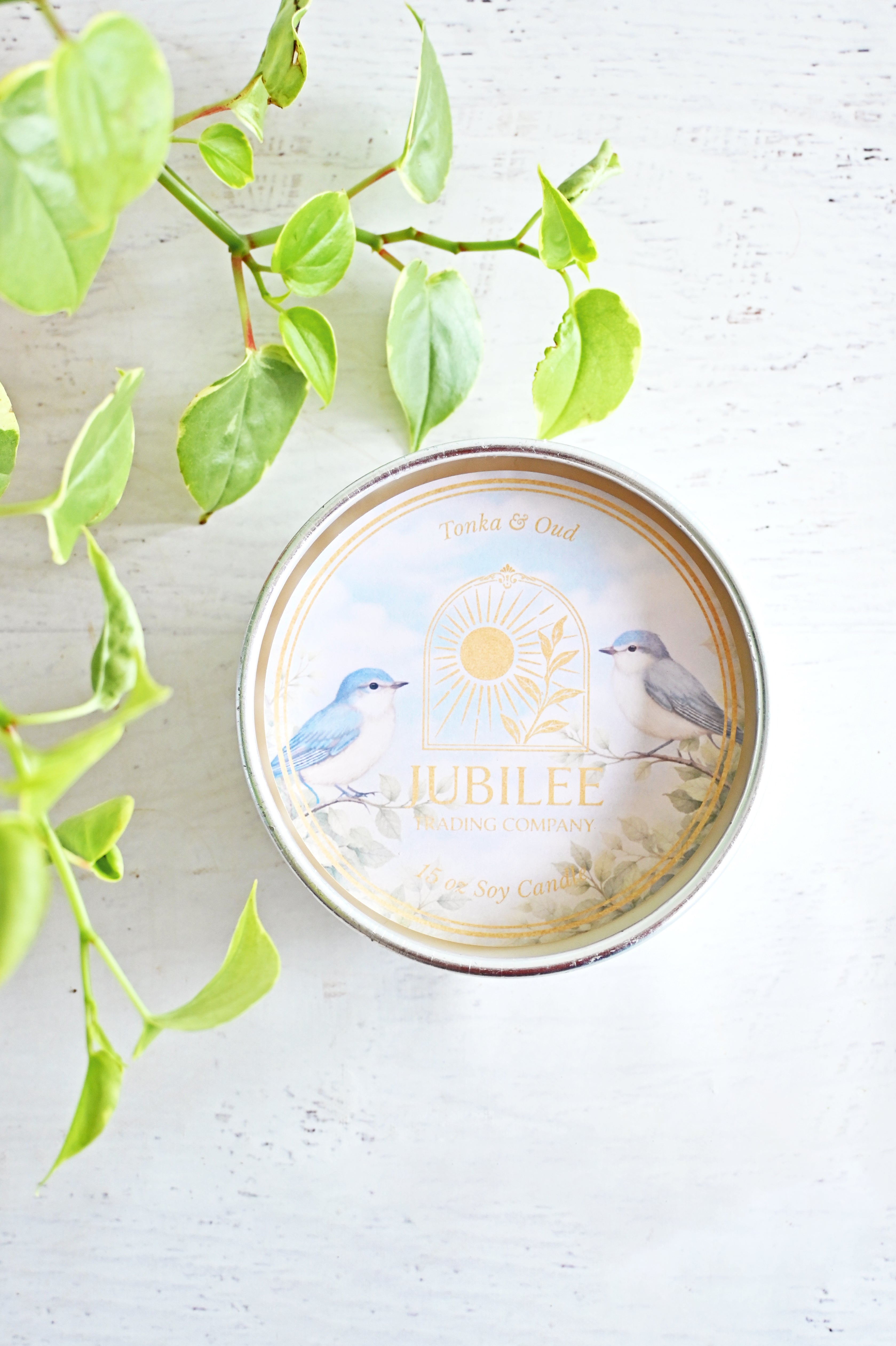 Tonka + Oud Candle