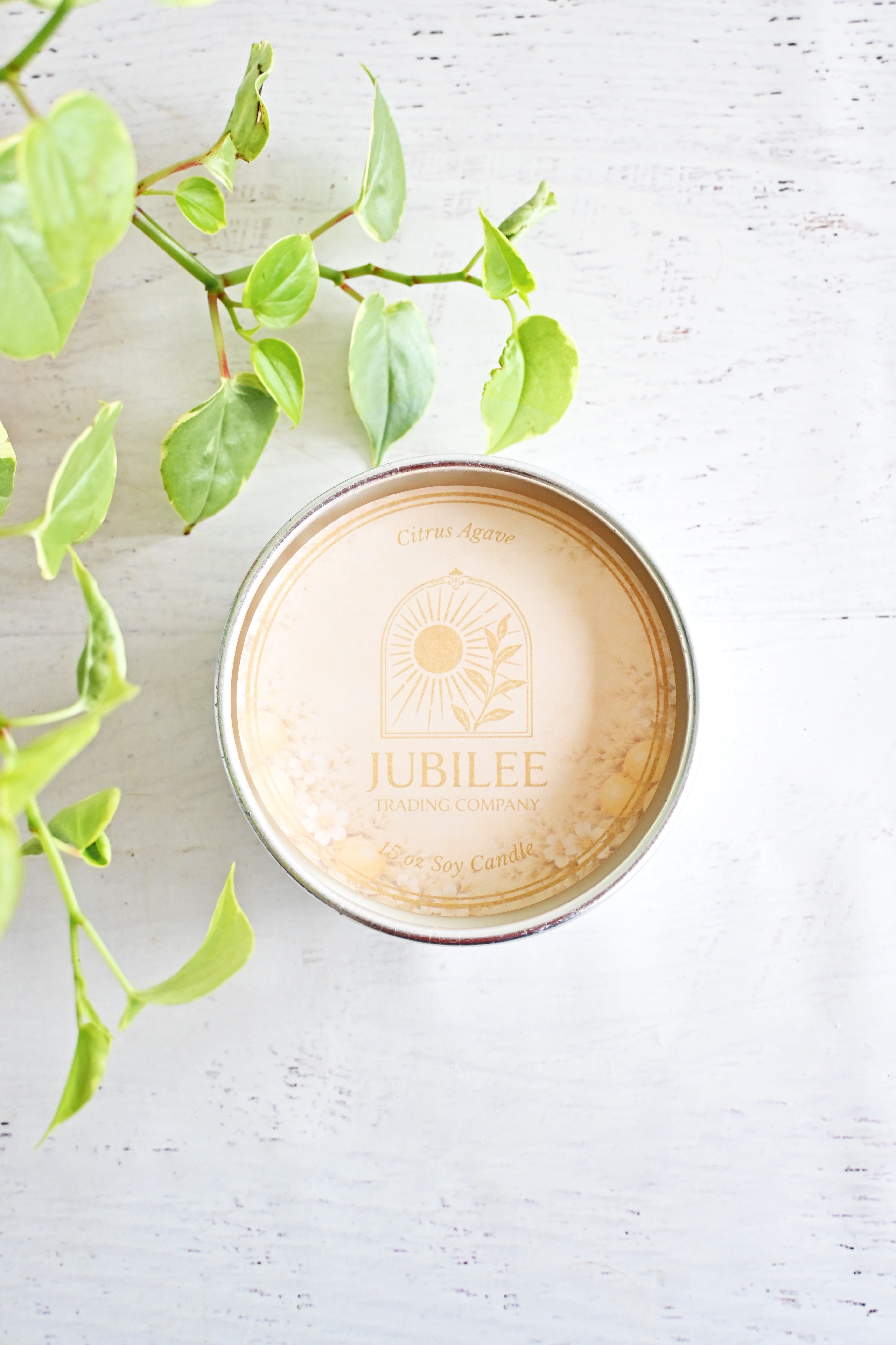 Citrus Agave Candle