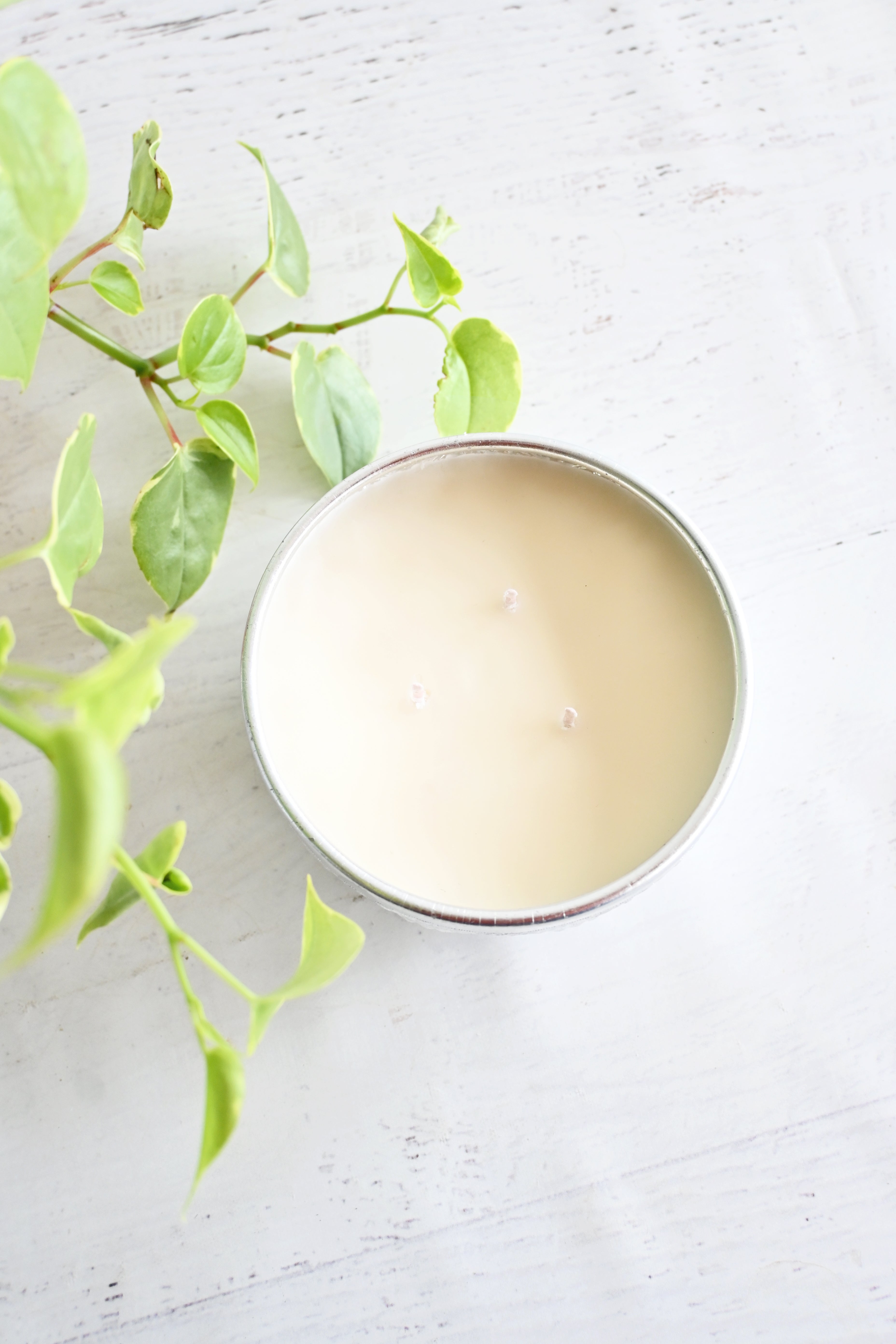 Tonka + Oud Candle