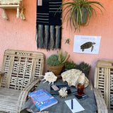 Coasters-Harbored Collection