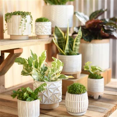 Vertical Stripe Stoneware Pot