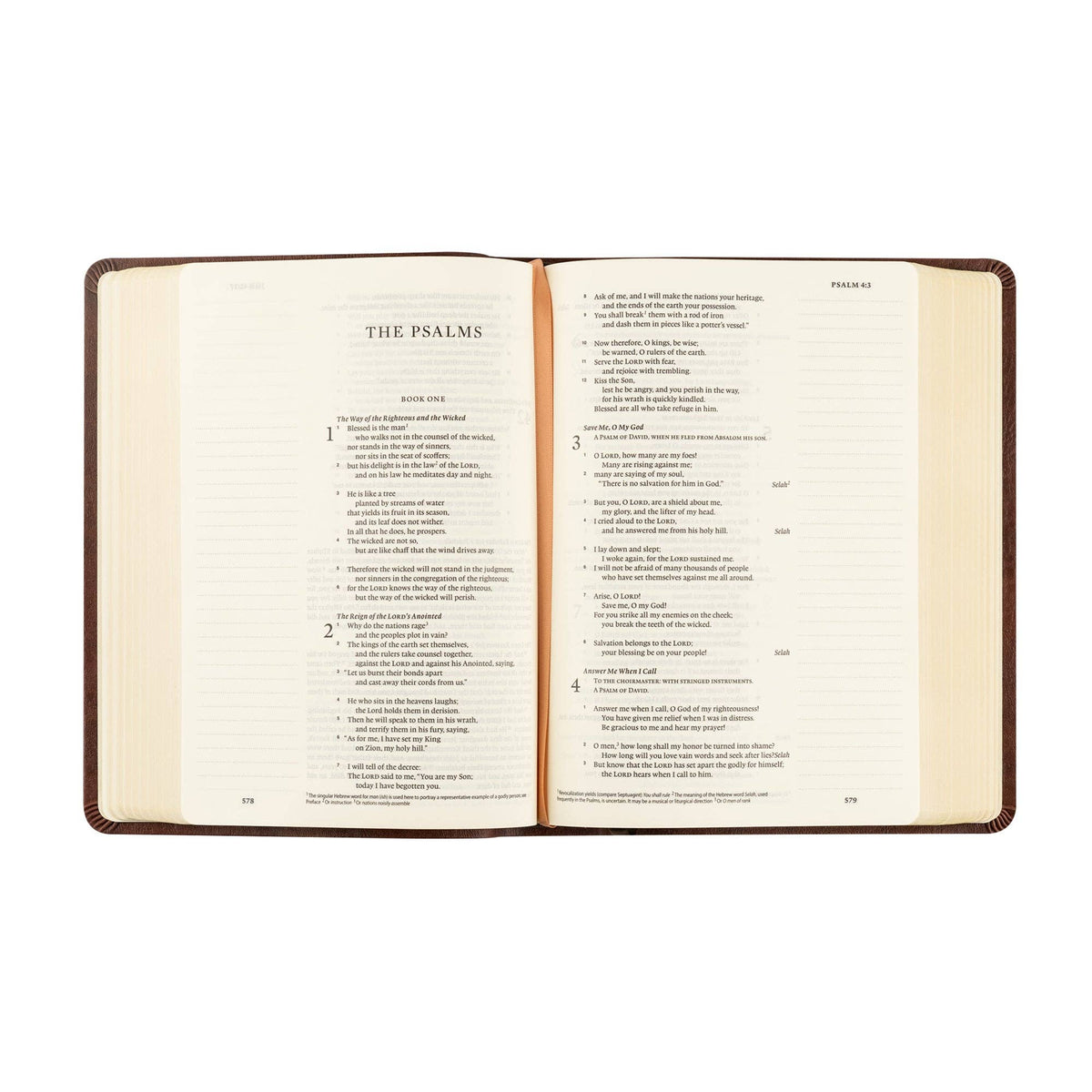 Palma Theme: ESV Journaling Bible