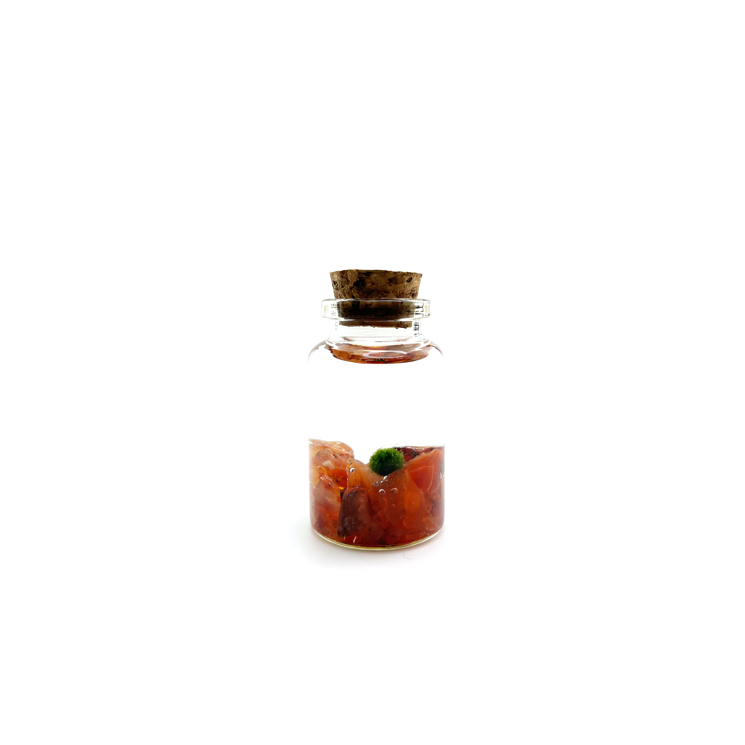 Tiny Marimo Moss Ball Terrarium with Carnelian Gemstones
