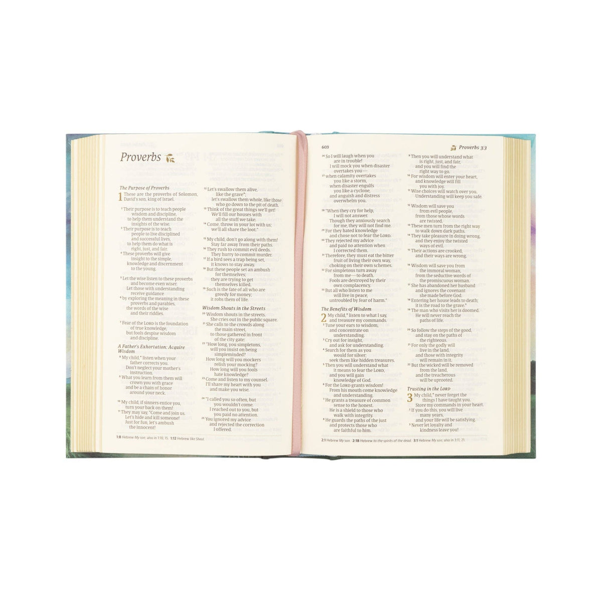 NLT Compact Bible: Prairie Theme