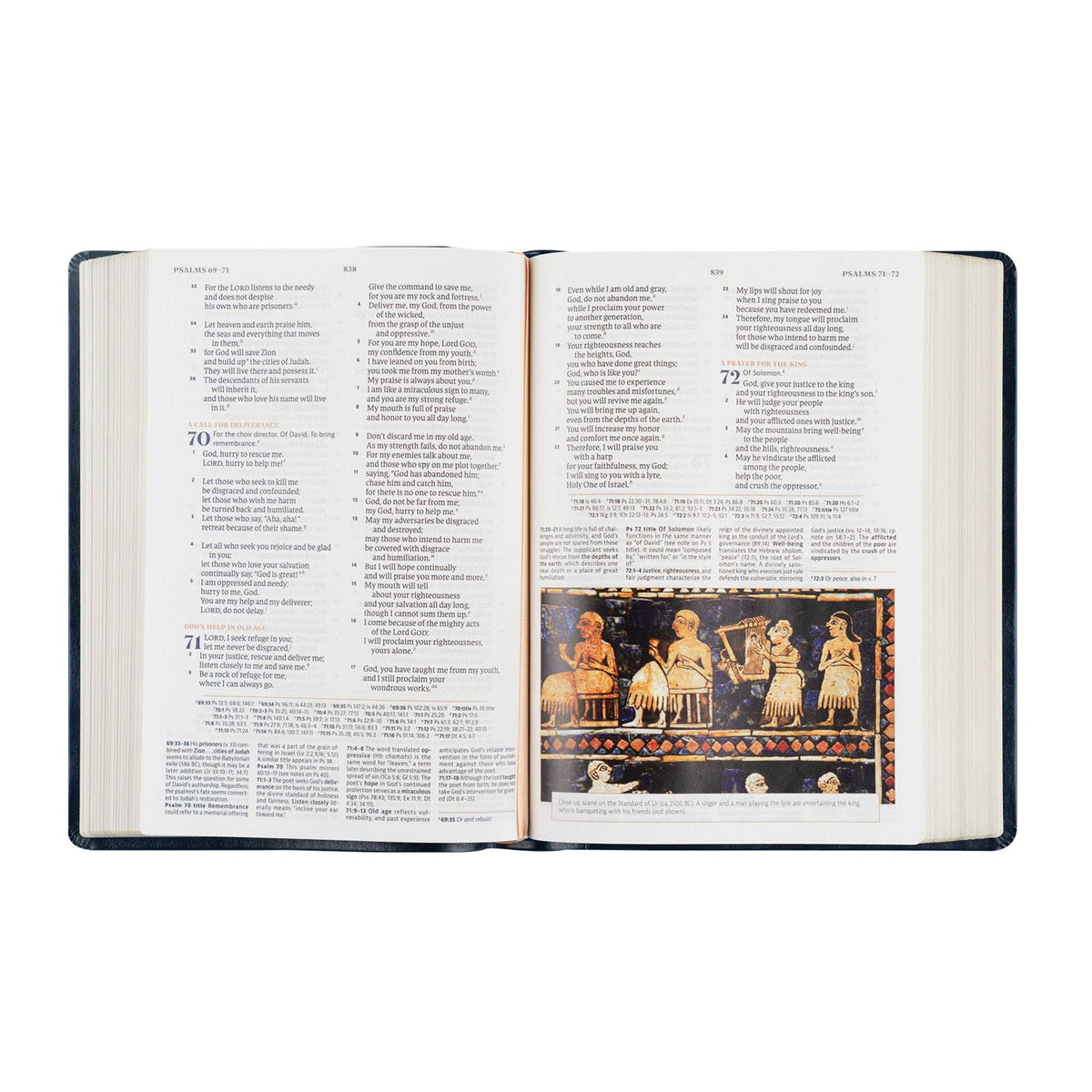 Versailles Theme: CSB Women's Study Bible