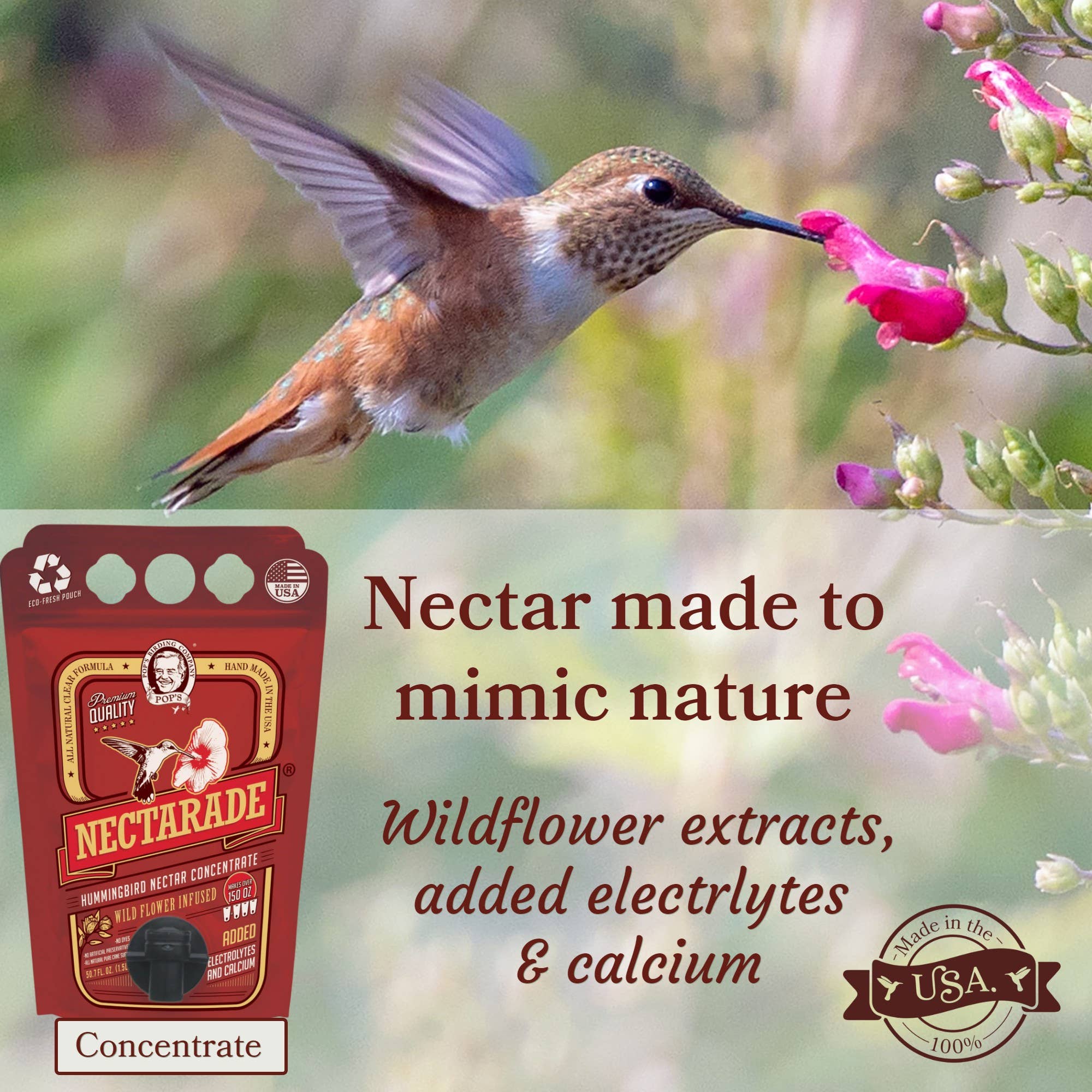 Nectarade Hummingbird Nectar, Concentrate Liquid (50.7 oz)