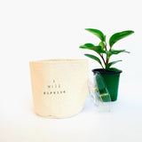 Don't stop beleafing Canvas Plant Pot Cover