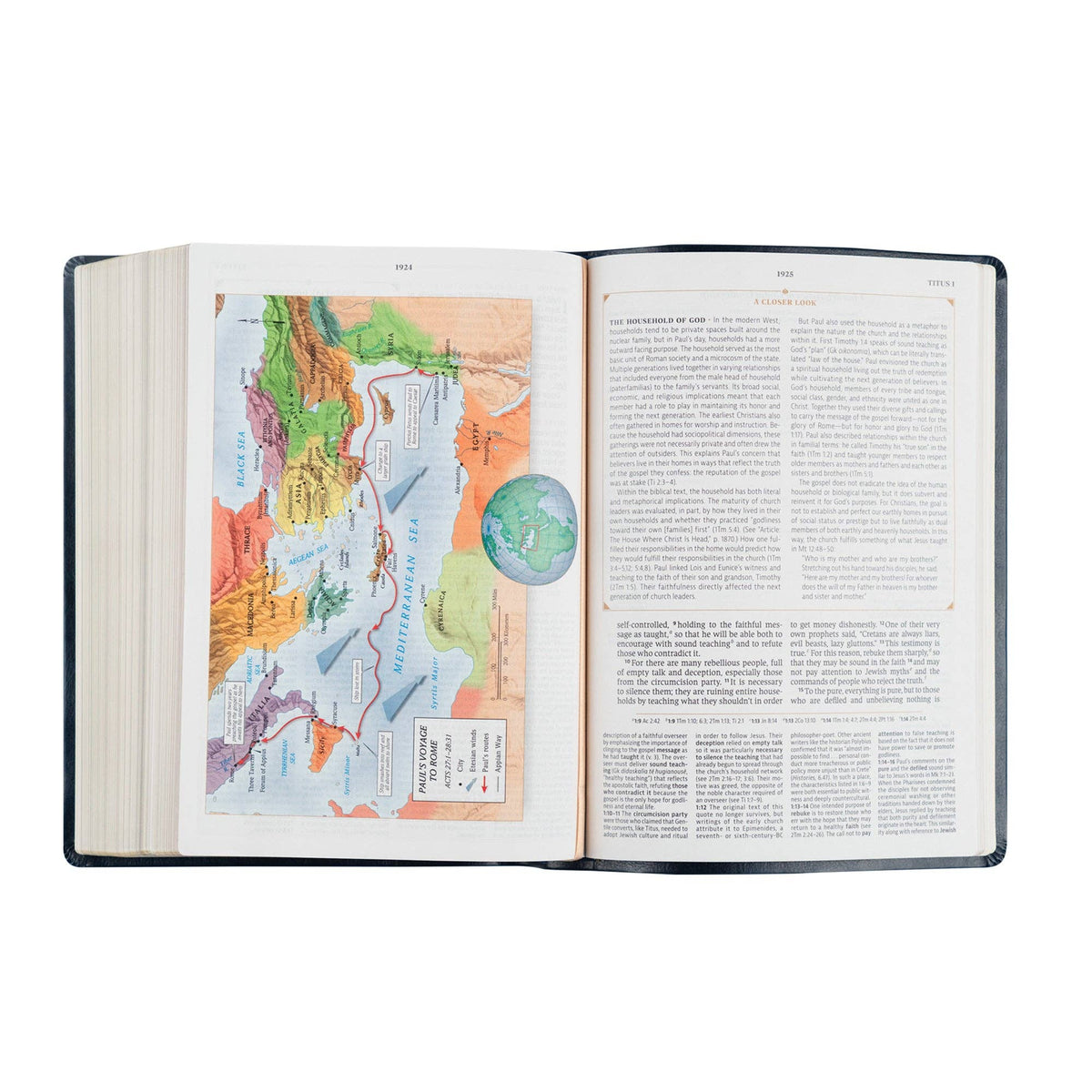 Versailles Theme: CSB Women's Study Bible