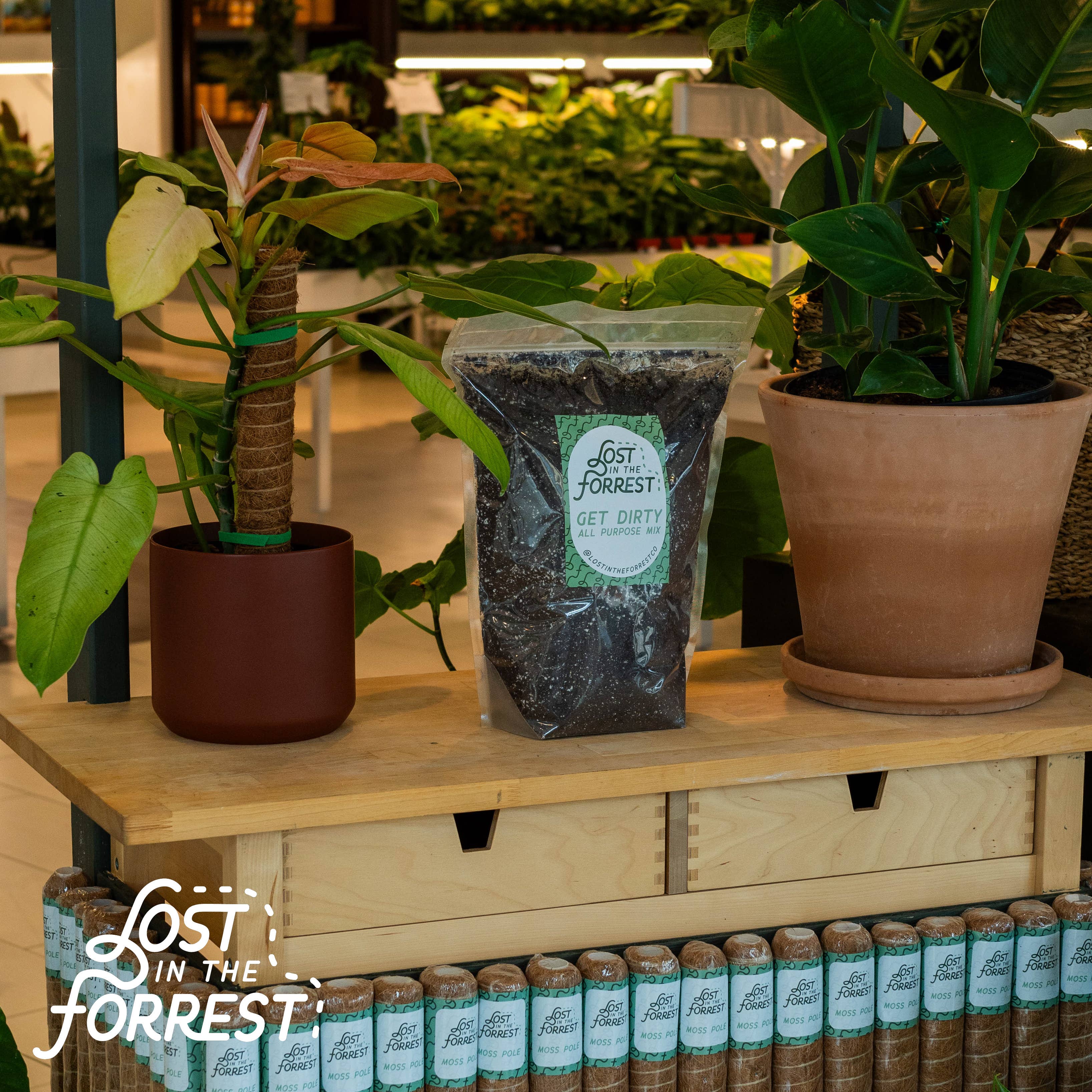 Get Dirty - All Purpose Potting Mix