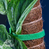 LITF Stackable Coir Pole