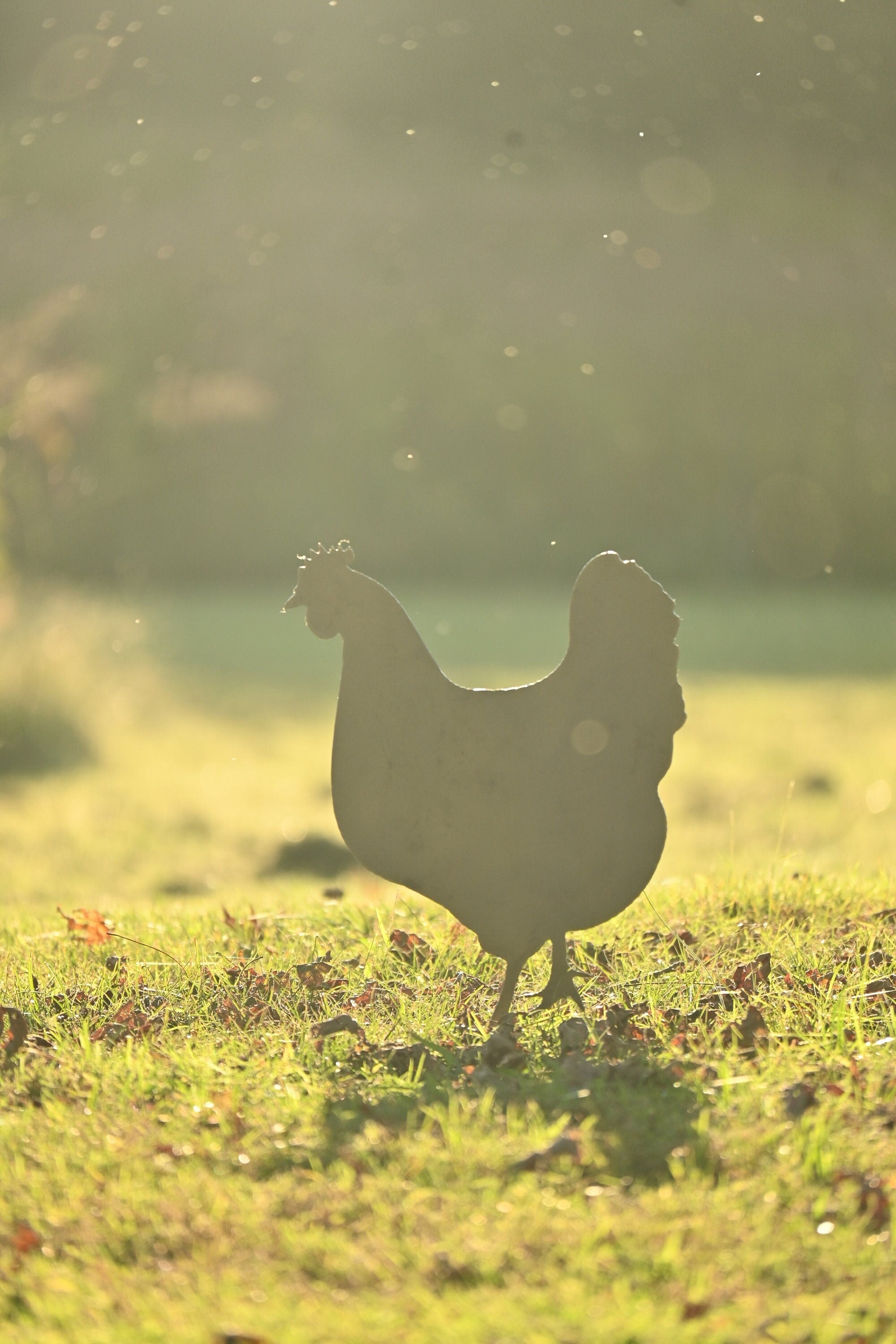 Hen + Baby Chicks Stake Statue | chicken decor hen statue chicken garden stake outdoor rustic metal art farmhouse decor chicken statue