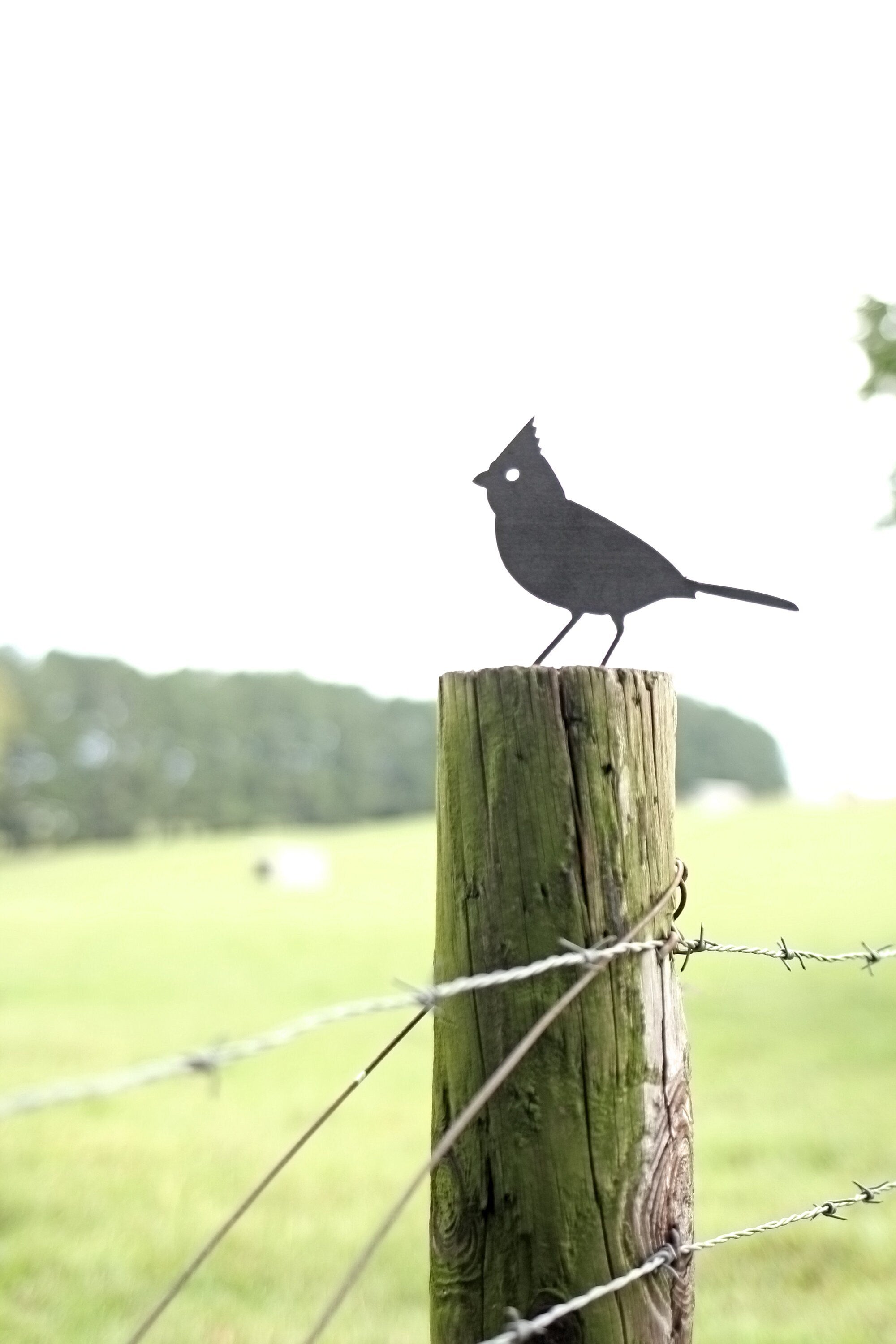 Metal Bird Cardinal Statue | garden ornament bird art bird watcher grandparent gift lawn patio