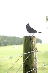 Metal Bird Cardinal Statue |   garden ornament bird art bird watcher grandparent gift lawn patio
