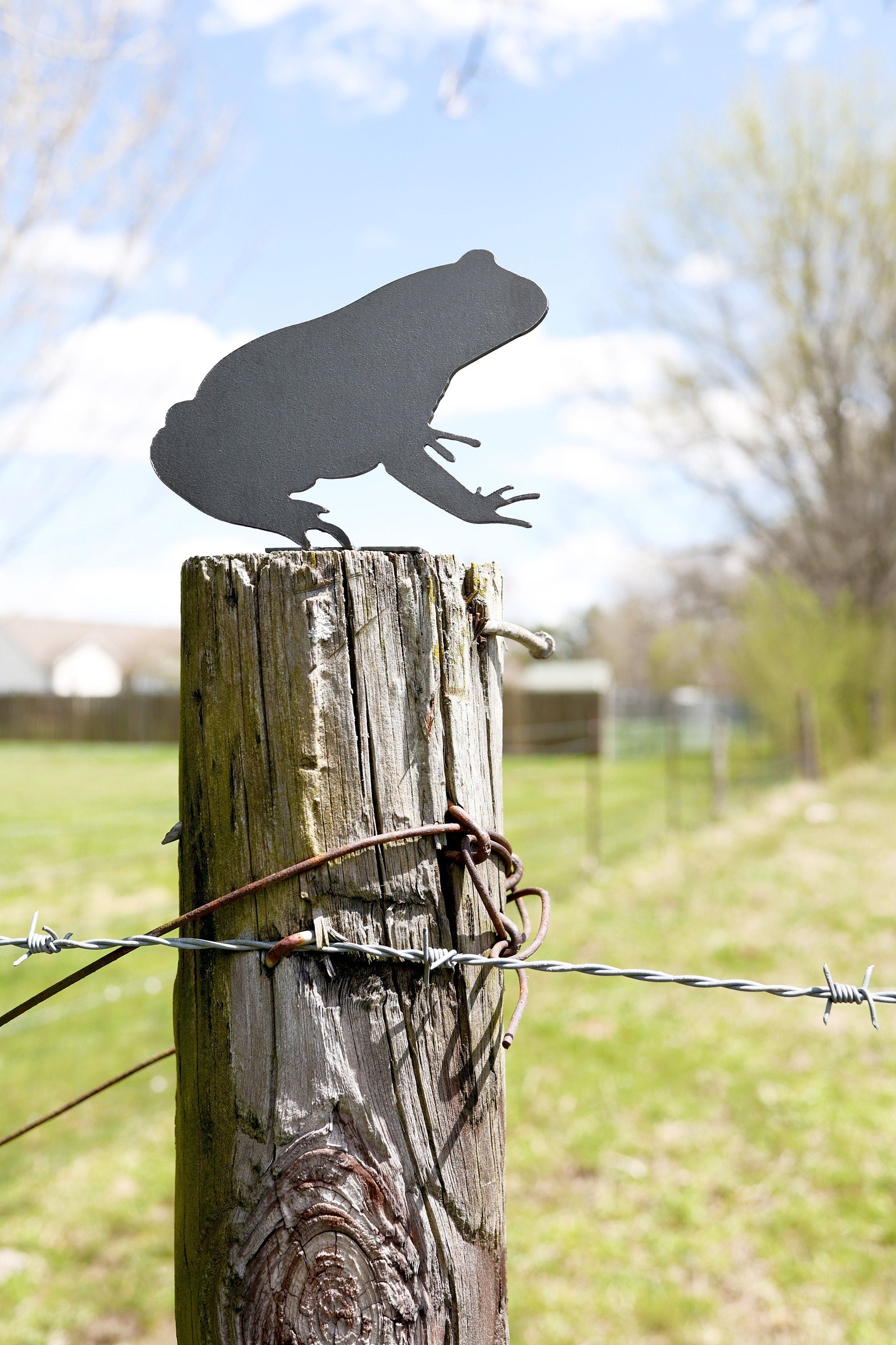 Frog Statue | garden decor patio ornament lawn critter garden gift