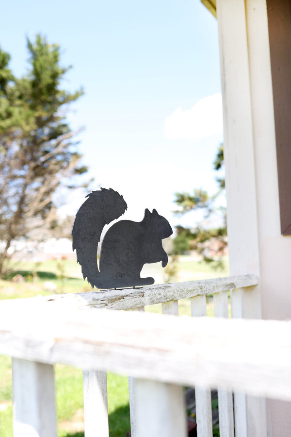 Metal Squirrel Statue  |  garden squirrel cute outdoor statue farmhouse garden decor statue bird art rustic outdoor cottage landscape nature