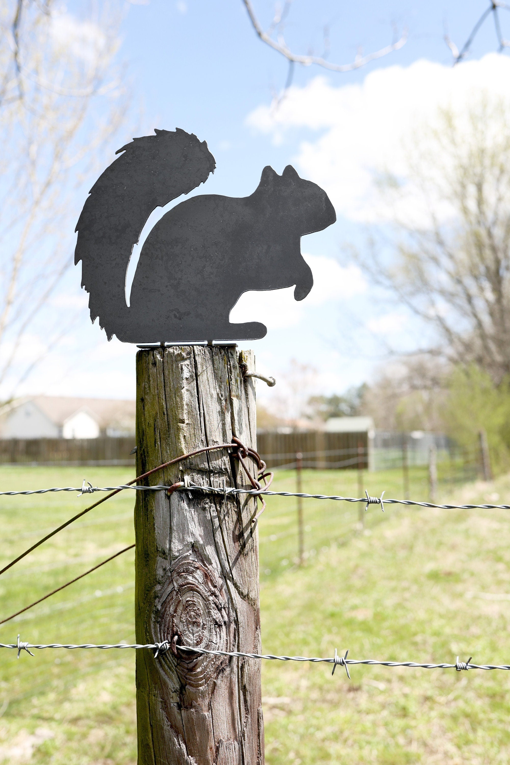 Metal Squirrel Statue | garden squirrel cute outdoor statue farmhouse garden decor statue bird art rustic outdoor cottage landscape nature