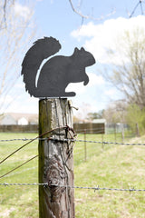 Metal Squirrel Statue  |  garden squirrel cute outdoor statue farmhouse garden decor statue bird art rustic outdoor cottage landscape nature