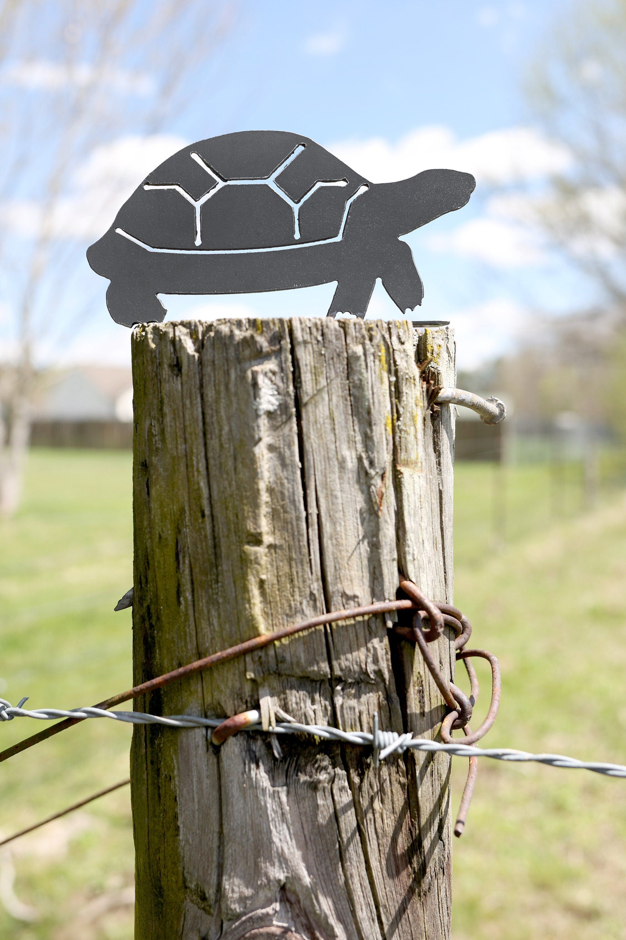 Turtle Statue | garden decor rustic outdoor patio ornament lawn critter
