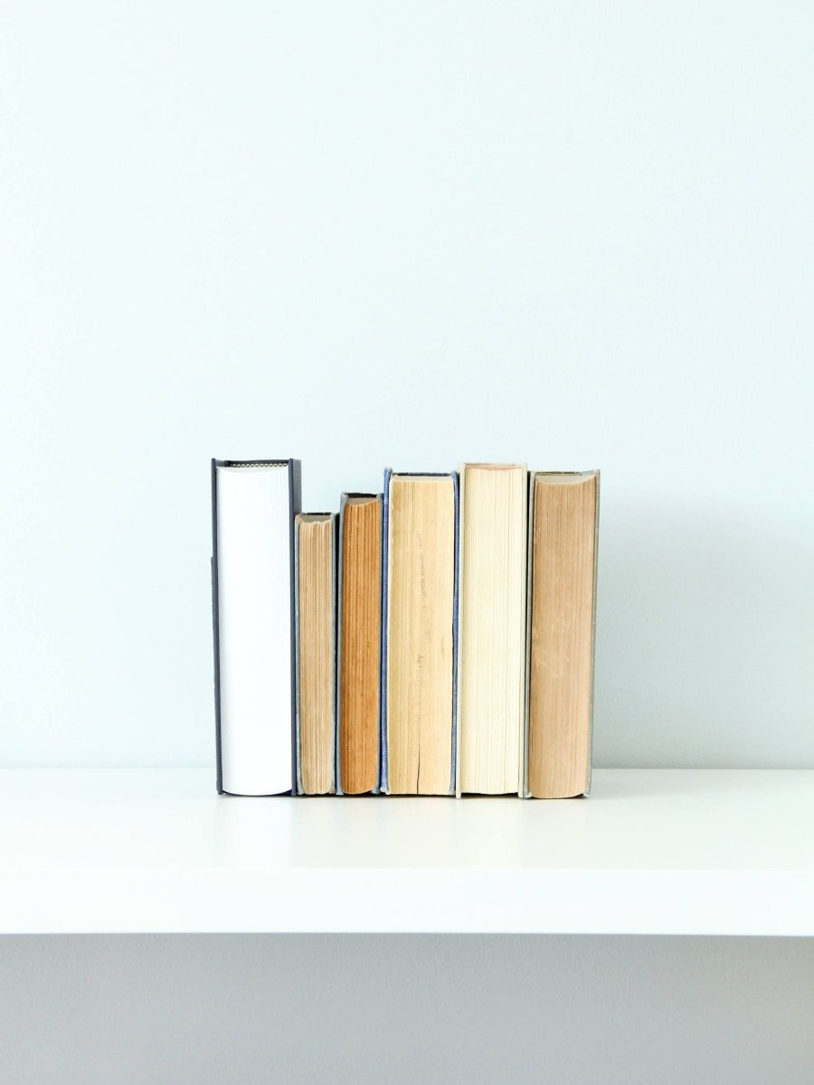 Metal Cactus Bookend - Highland Ridge Decor