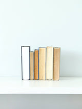 Metal Cactus Bookend - Highland Ridge Decor
