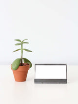 Modern Metal Business Card Holder - Highland Ridge Decor
