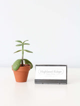 Modern Metal Business Card Holder - Highland Ridge Decor