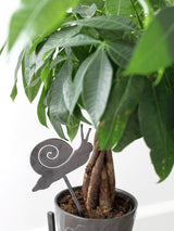 Snail Plant Stake - Highland Ridge Decor