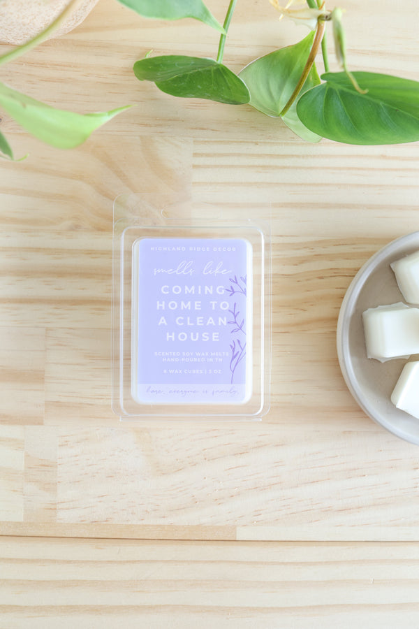Coming Home to a Clean House Wax Melt