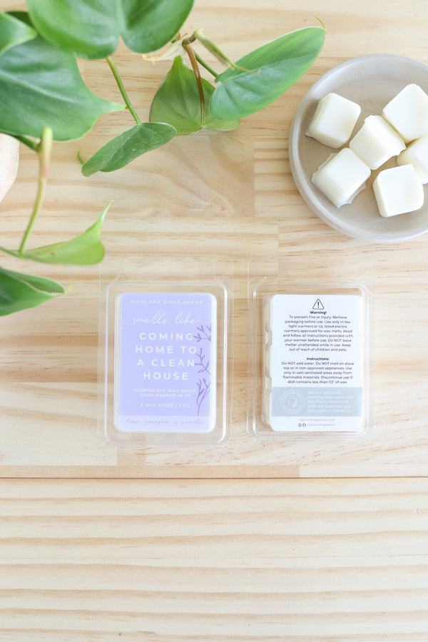 Coming Home to a Clean House Wax Melt