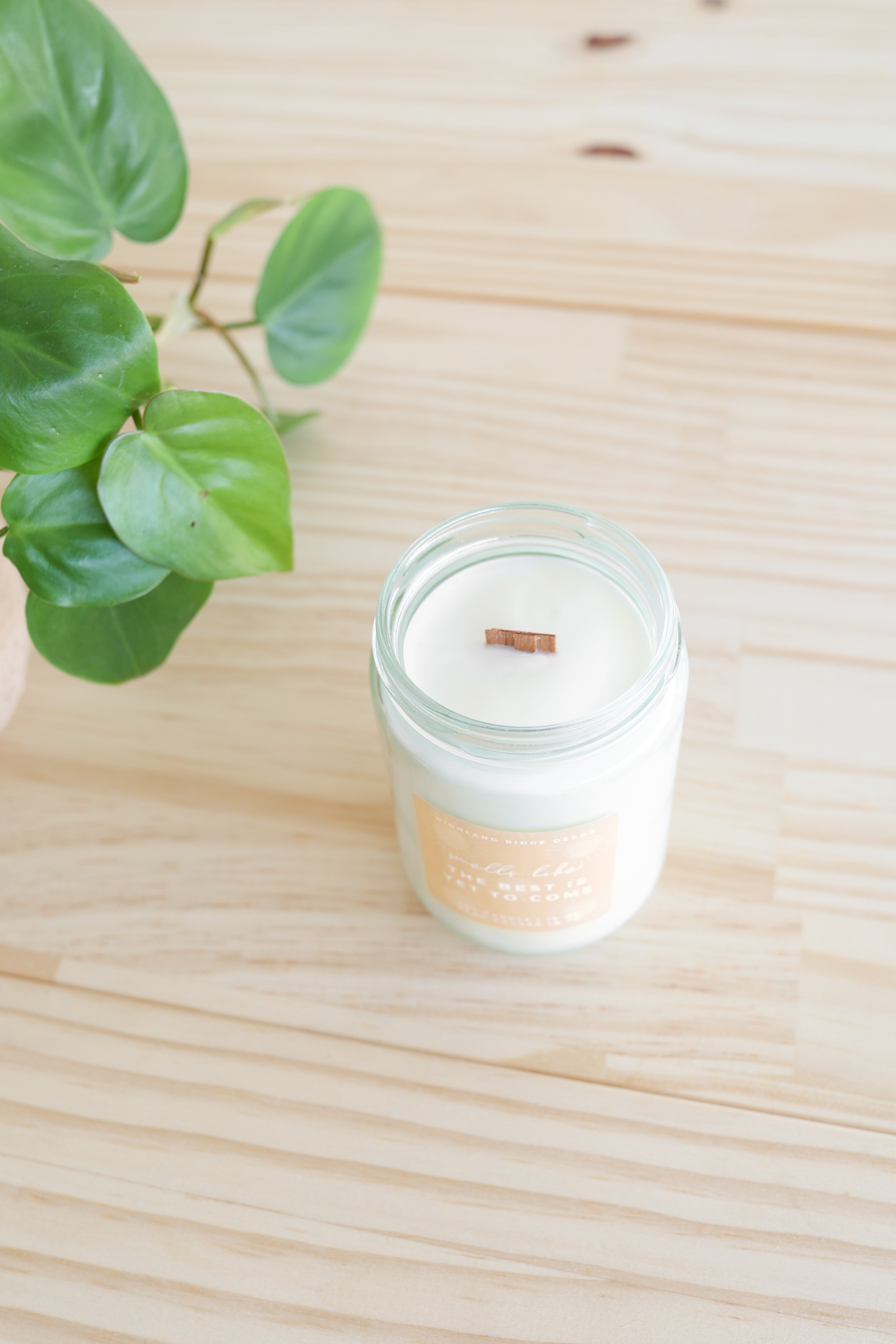 The Best is Yet to Come Candle | Citrus Agave