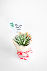 Valentine's Day Plant Delivery Pre-order