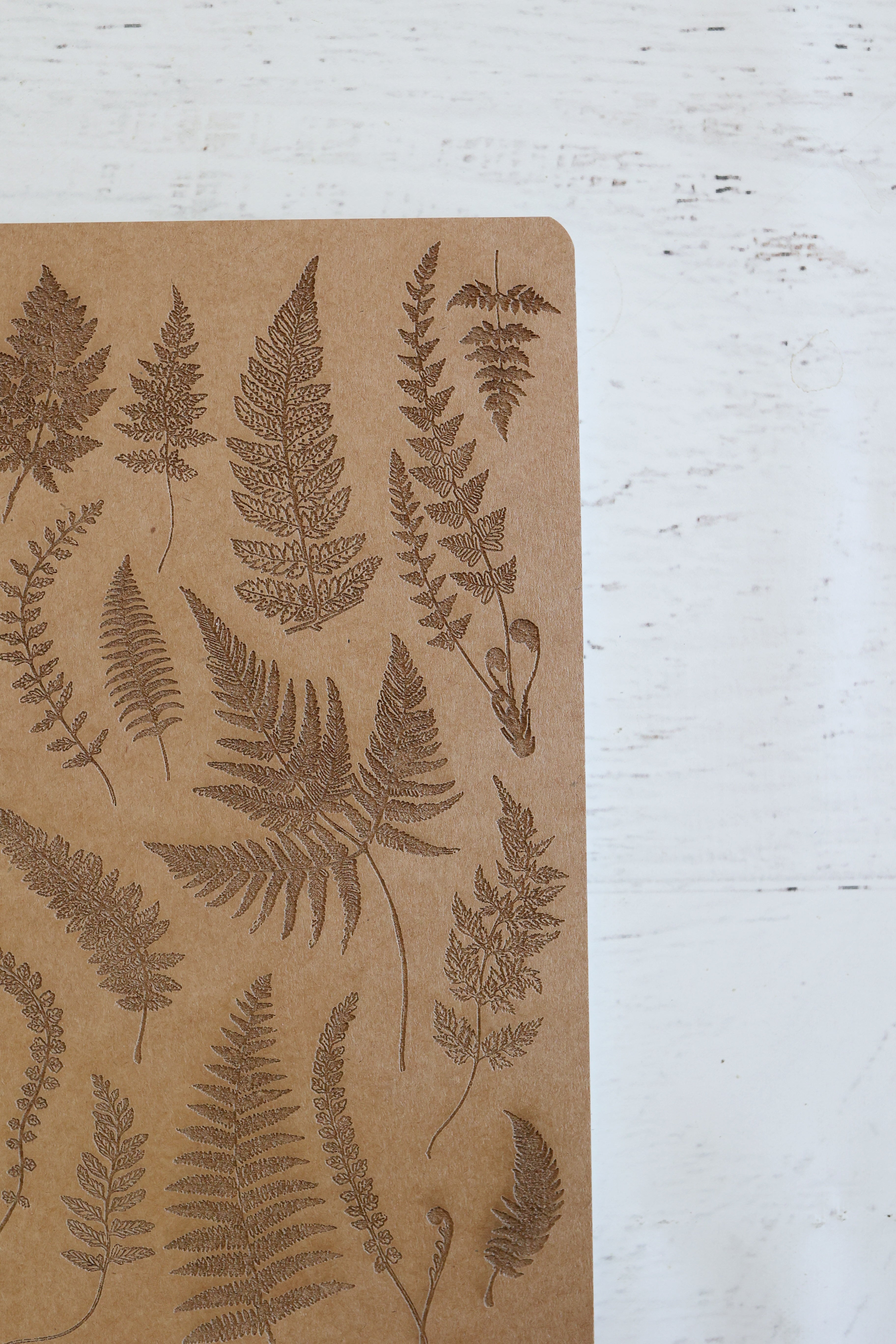 Fern Fronds Notebook Journal