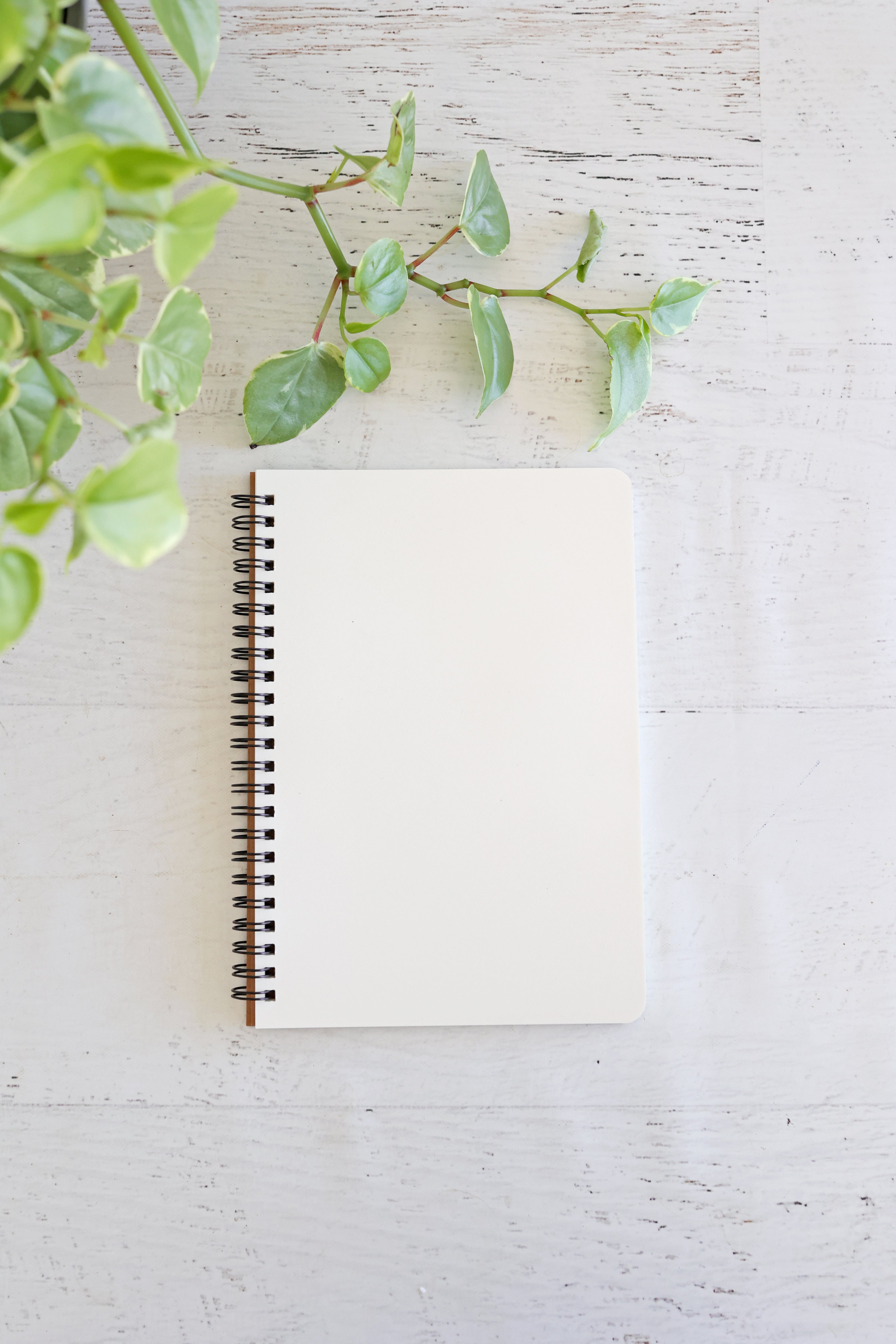 Fern Fronds Notebook Journal