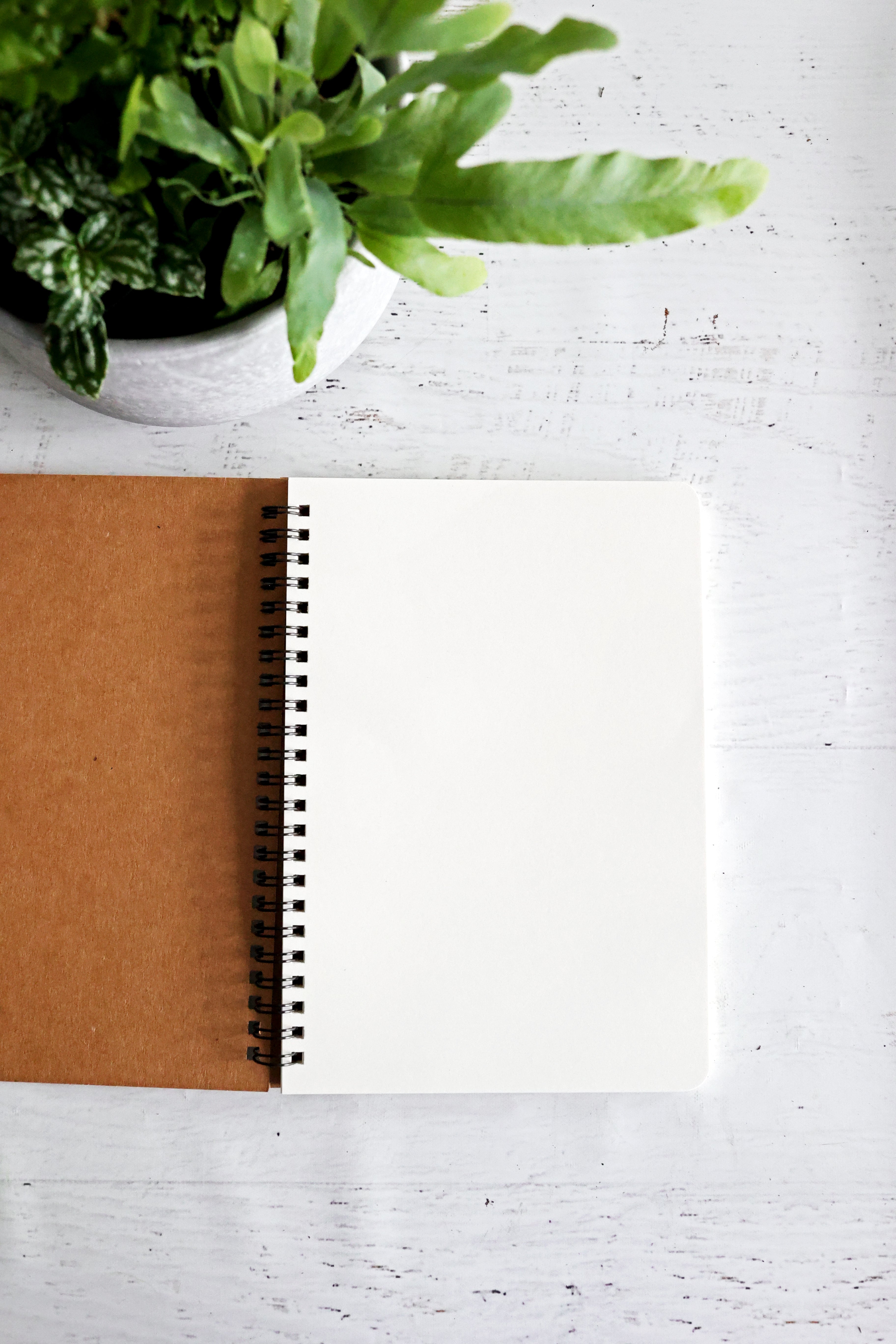 Father's Day Proverbs Notebook Journal