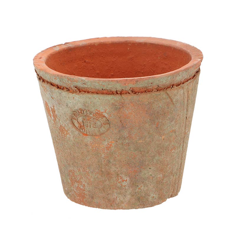 Aged Terracotta Flower Pot