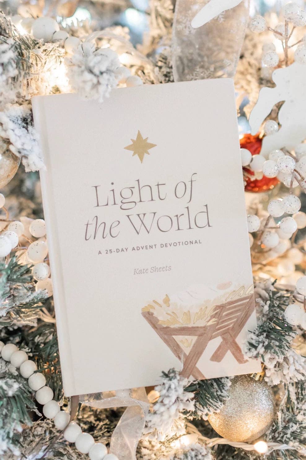 Light of the World: A 25-Day Advent Devotional